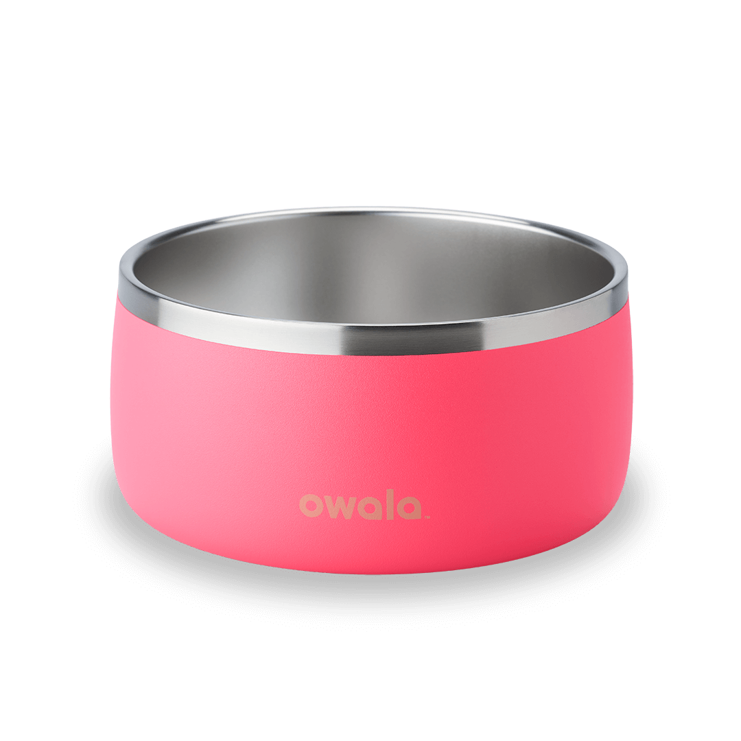 SC_48oz_Hyper_Flamingo-1080×1080-f521e30